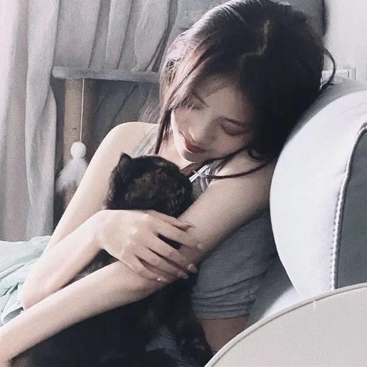 情越海岸线粤语